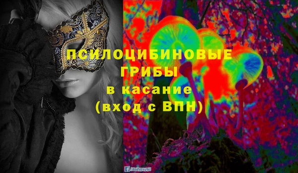 сатива Белоозёрский