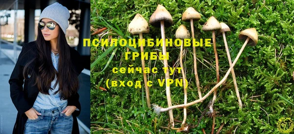 соль ск Белокуриха