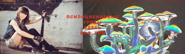 соль ск Белокуриха