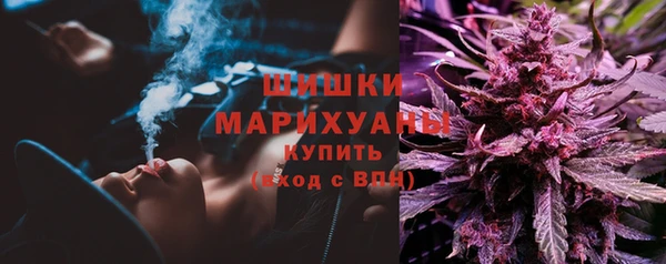 сатива Белоозёрский