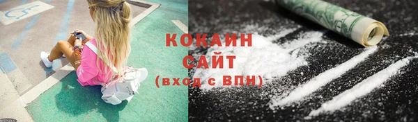 соль ск Белокуриха