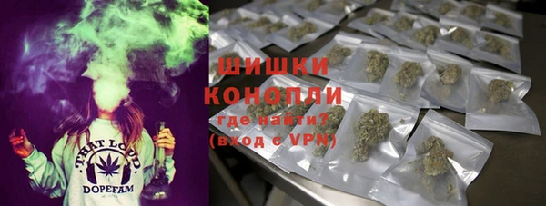 сатива Слюдянка